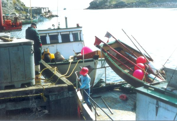 629: Red Island. A small boy aboard the "Kittiwake" at the government wharf. Bill Mulrooney in the background. (circa 1994) [courtesy of Pius Mulrooney]  - William son of Bernard Mulrooney &amp;amp; Johanna Webber